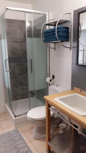 a bathroom with a shower and a toilet and a sink at Appartement Belle Croix in Avignon