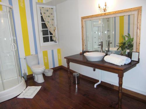 a bathroom with a sink and a toilet at Chambres d'Hôtes Aroha in Sorde-lʼAbbaye