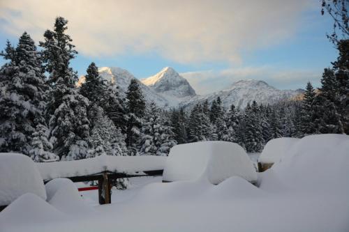 a snow covered mountain in the distance with snow covered trees at katafygio-oiti in Pávliani