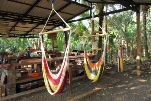 a group of hammocks hanging from a shed at La Bambouseraie in Balgue