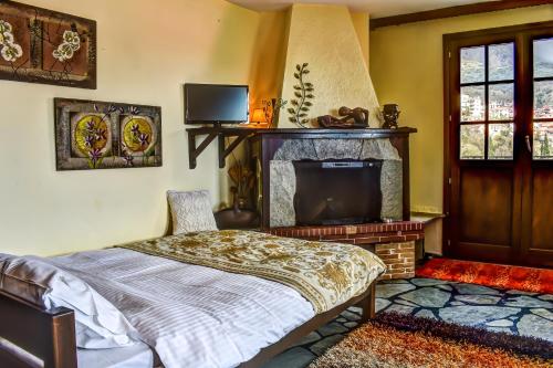 a bedroom with a bed and a fireplace and a tv at Dio Studios in Arachova