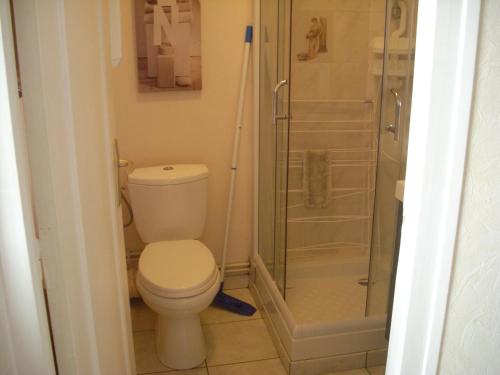 バニョール・ドゥ・ロルヌにあるRésidence Porquerolesのバスルーム(トイレ、シャワー付)