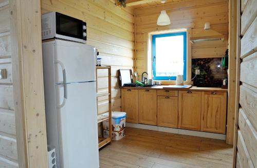 kuchnia z lodówką i kuchenką mikrofalową na górze w obiekcie Dom Nad Morzem Witome w mieście Mosty