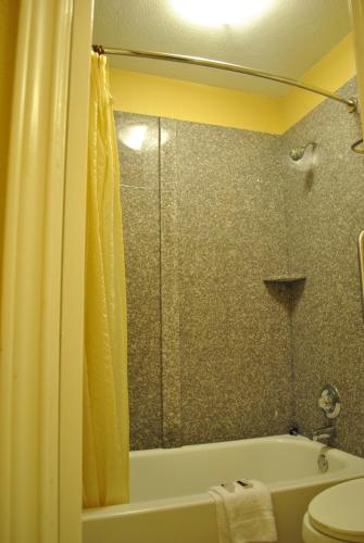a bathroom with a shower and a tub and a toilet at Executive Inn Brookshire in Brookshire