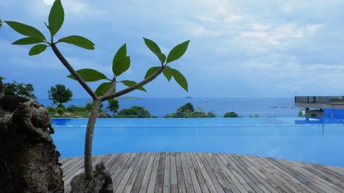 a palm tree next to a swimming pool at Swiss-Belresort Belitung in Tanjungbinga