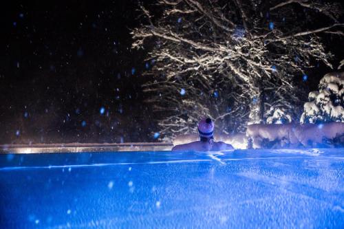 a person in a swimming pool at night with sheep at Hotel Annelies in Ramsau am Dachstein