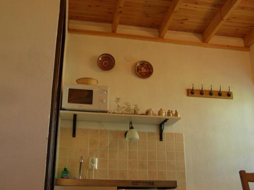 eine Küche mit einer Mikrowelle und einem Regal an der Wand in der Unterkunft Őrségi Tornácos Vendégfogadó in Felsőszenterzsébet