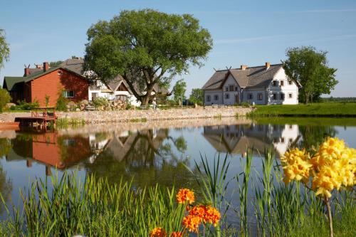 a group of houses next to a lake with flowers at Zielony Zakątek in Ostrołęka
