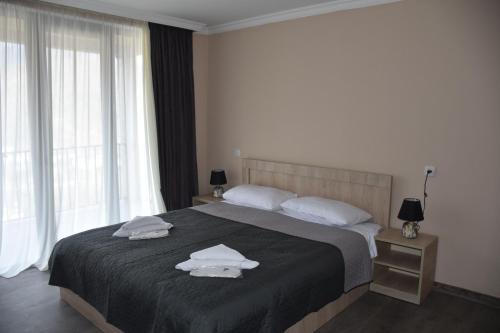 Gallery image of Nikala's house in Borjomi