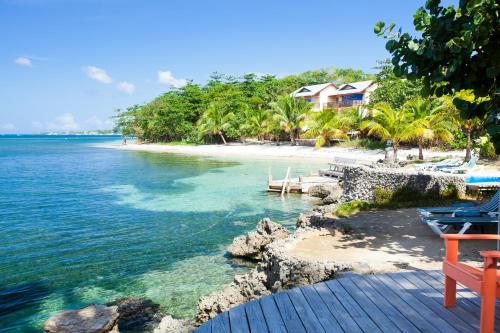 a view of a beach with a house and the ocean at Las Rocas Resort and Dive Center in West Bay
