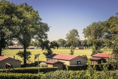 a group of houses in a field with trees at Vakantiepark de Luttenberg in Luttenberg