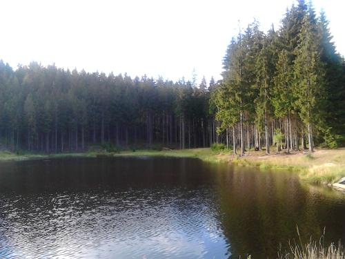 a body of water with trees in the background at Jiřetínská chaloupka in Jiřetín pod Jedlovou