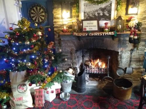 Plume of Feathers – Photos 2