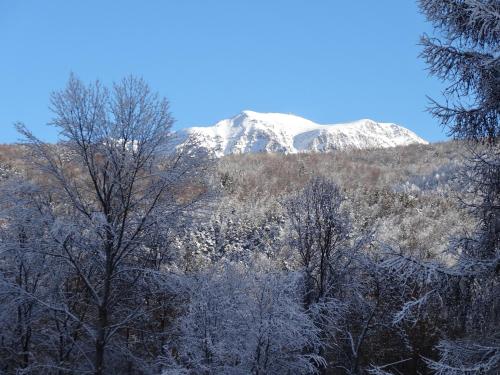 a mountain covered in snow with trees in the foreground at Maison d'hôtes l'Arnica in La Bréole