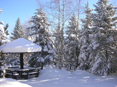 a picnic table in the snow next to snow covered trees at Apartments Zlatibor's Peace in Zlatibor