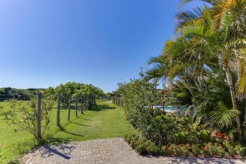 a walkway with palm trees next to a body of water at Pousada Ilha Faceira in Florianópolis
