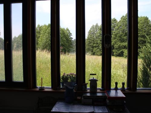 a window with a view of a field of grass at Pod tulipanem nad jeziorem in Zawady Oleckie