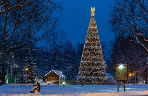 a large christmas tree in the snow at night at BURMISTRO NAMAS in Druskininkai