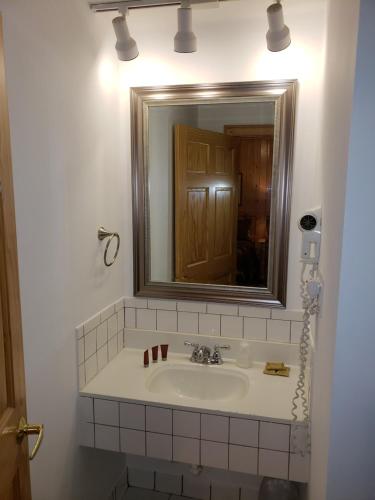 a bathroom with a sink and a mirror at Willard Munger Inn in Duluth