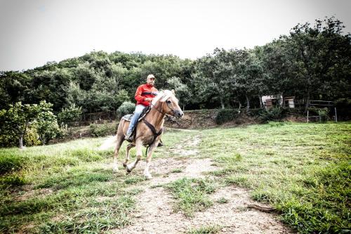 a person riding a horse in a field at Borgo Rosso di Sera - Resort Country Chic in San Lucido