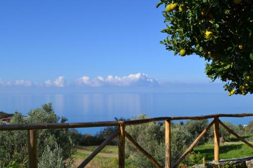 a view of a lake from a wooden fence at Borgo Rosso di Sera - Resort Country Chic in San Lucido
