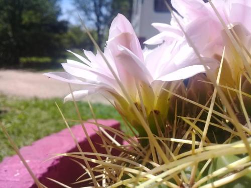 Fotografie z fotogalerie ubytování Hotel y Cabañas Green Park v destinaci Nono