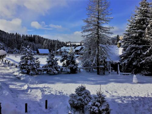 a snow covered yard with trees and a fence at Ski apartmány Spiežovec Donovaly in Donovaly