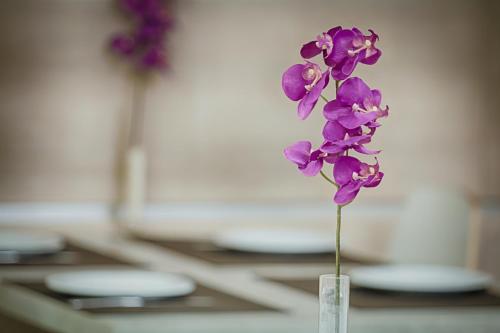 a purple flower in a glass vase on a counter at Hotel Raganelli in Rome