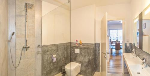 a bathroom with a shower and a toilet and a sink at Ferienwohnung Colleen in Fügenberg