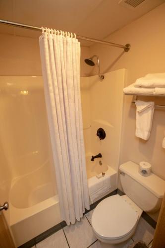 a bathroom with a shower curtain and a toilet at Hotel Grand Victorian in Branson