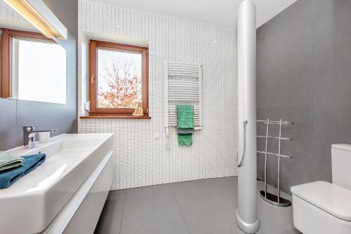 a bathroom with a sink and a toilet and a window at Dom w Grodzisku in Skała