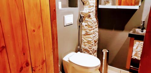 a bathroom with a toilet and a shower curtain at La Bergerie de Louvie in Louvie-Soubiron