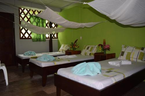 Gallery image of Explorama Lodge in Francisco de Orellana