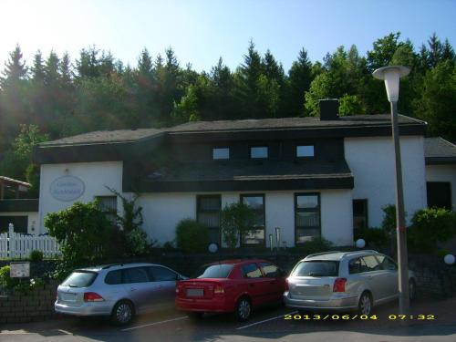 three cars parked in a parking lot in front of a house at Gästehaus Hochrhönblick in Schönau an der Brend