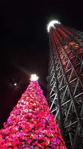 a large christmas tree is lit up at night at GUEST HOUSE SaKURa in Tokyo