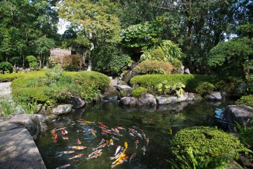 a garden with a pond with kites in it at ABBA Resorts Izu - Zagyosoh in Ito