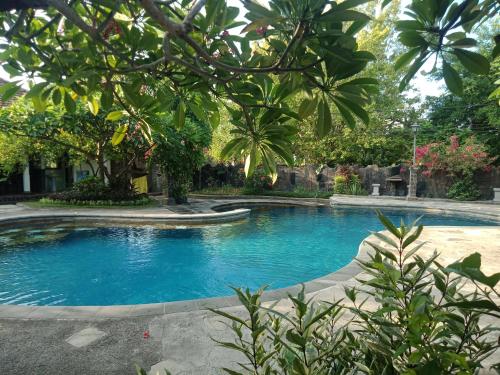 una piscina en un patio con árboles en Rini hotel en Lovina