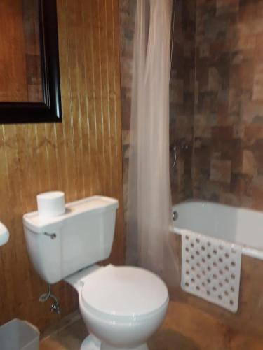 a bathroom with a toilet and a bath tub at HOTEL CASAGRANDE con estacionamiento EXCLUSIVO in Valdivia