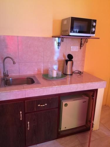a kitchen with a sink and a microwave at Bob Apartments in Calodyne
