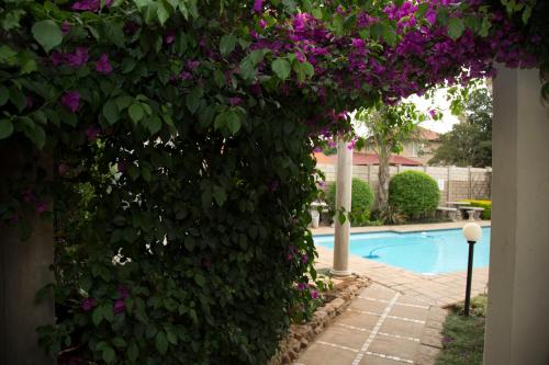 Πισίνα στο ή κοντά στο Xaviera Guest House
