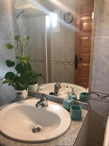 een badkamer met een wastafel en een potplant bij Finca el Cortijo in San Miguel de Abona