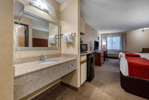Kylpyhuone majoituspaikassa Comfort Inn Denver Southeast Area