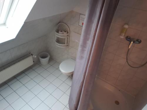 a small bathroom with a toilet and a shower at Pension Apostel in Wismar