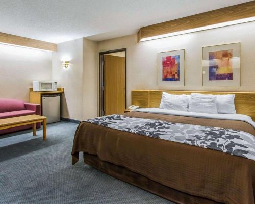 Rodeway Inn في Fremont: غرفة فندق مع سرير وكرسي