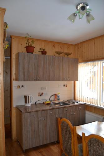 eine Küche mit Holzschränken, einem Tisch und einem Deckenventilator in der Unterkunft Карпатський Дуб in Jaremtsche