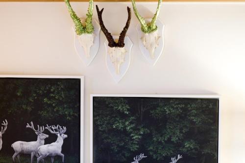 Das Georg Boutique-Hotel – Photos 3