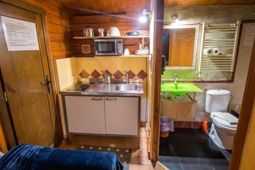 a small kitchen with a sink and a toilet at Fuente del Lobo Glamping & Bungalows - Adults Only in Pinos Genil
