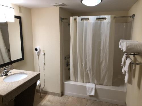 a bathroom with a shower and a sink at MHO INN and SUITES in Monmouth Junction