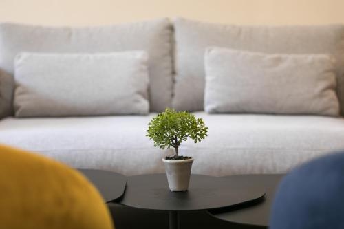 Hôtel Innes by HappyCulture photo 46