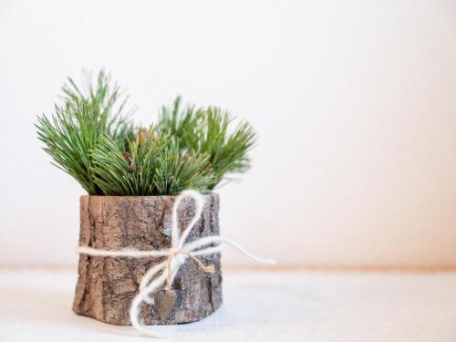 a tree stump planter with a plant in it at Marenklhof in Tesido